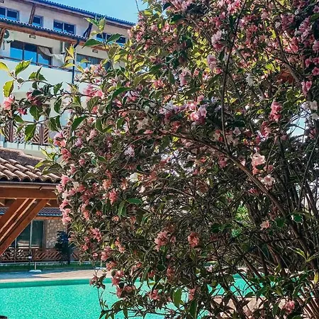 Mm Complex 아파트호텔