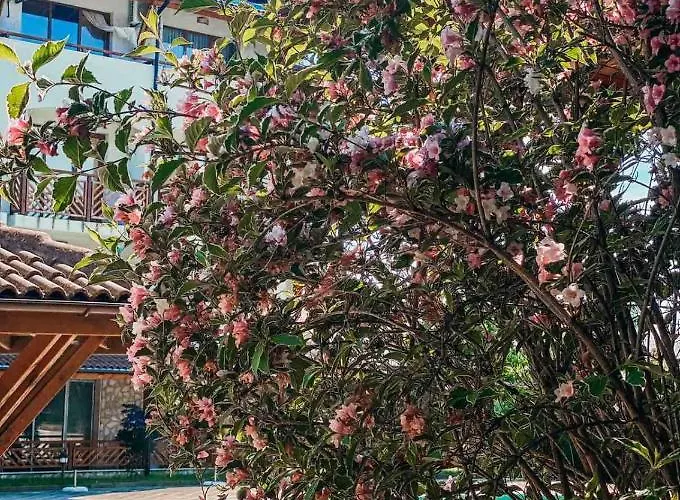 Mm Complex Aparthotel